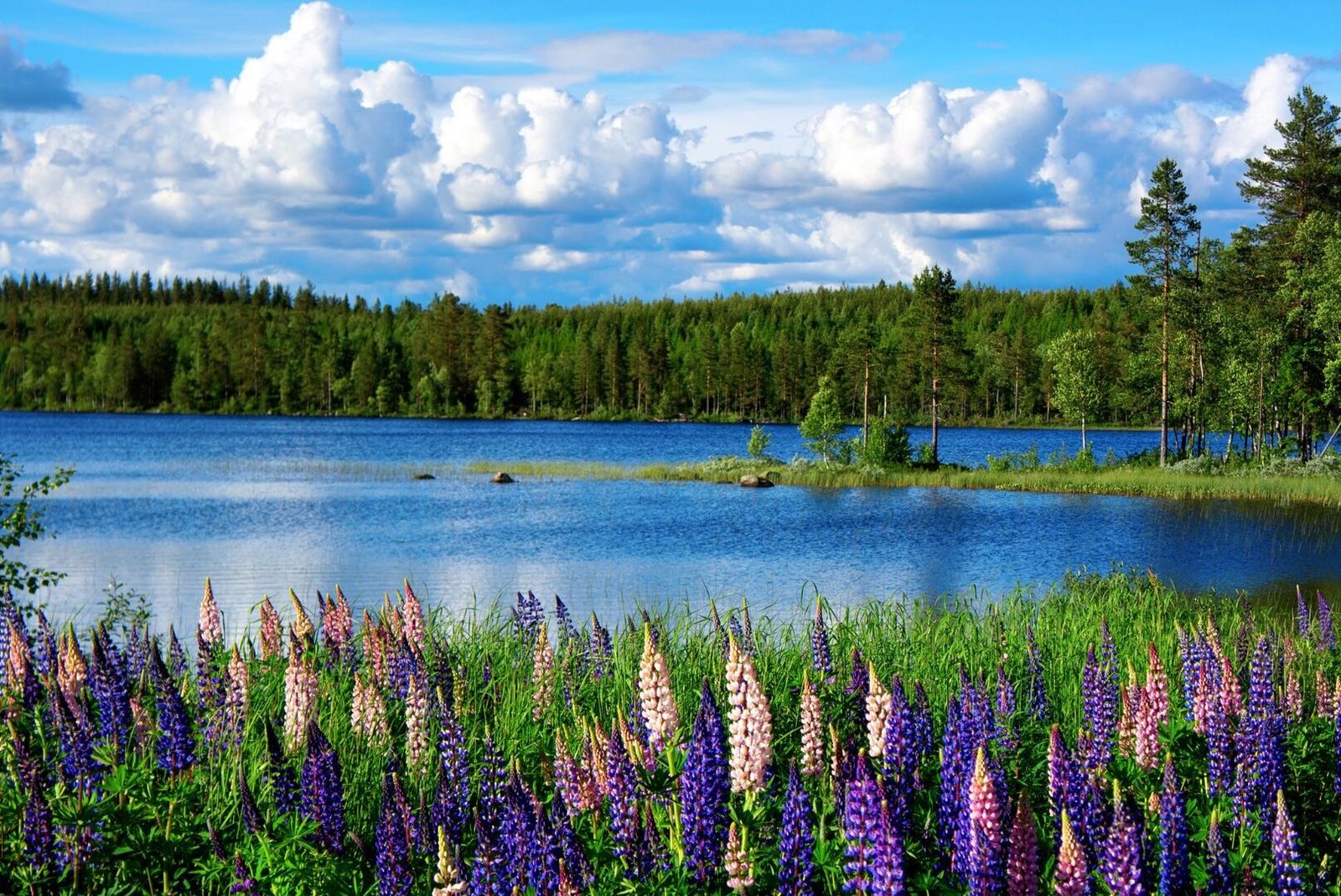 Landscape Photography